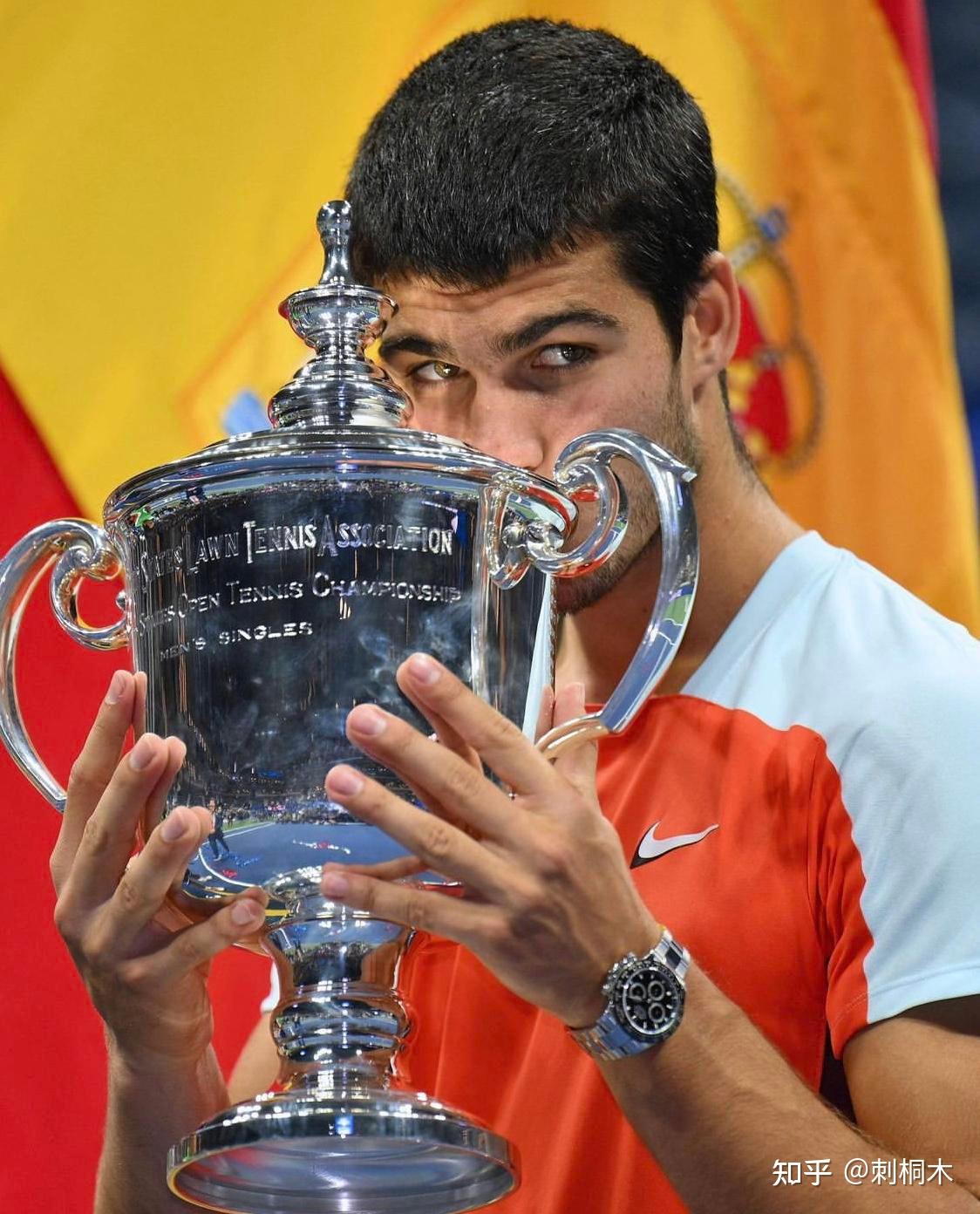 政府的枪支 政府的枪支